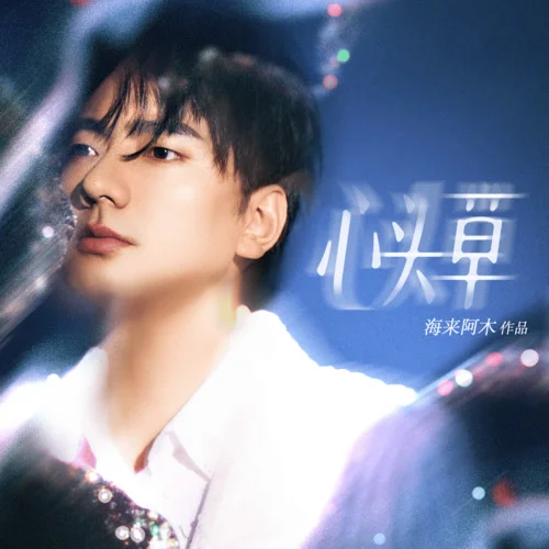 心头草-海来阿木