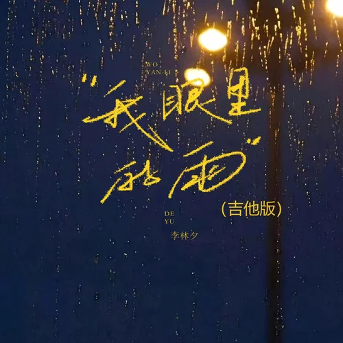 我眼里的雨 (吉他版)-李林夕