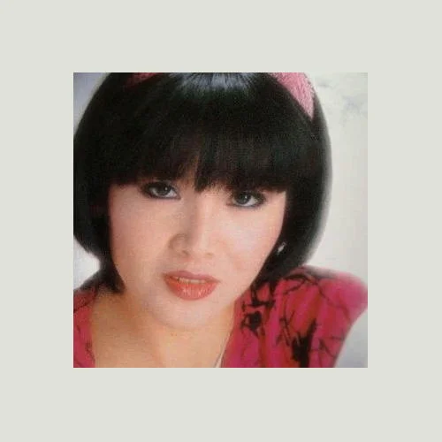 昨夜星辰-龙飘飘