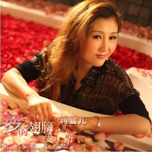 梦的翅膀受了伤-蒋雪儿