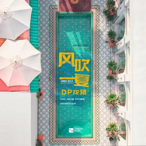 风吹一夏-DP龙猪&Rays陈袁&Swei水