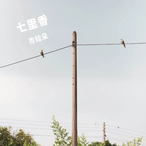 七里香 (女声版)-吉拉朵
