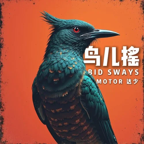 鸟儿摇-Motor¯达少