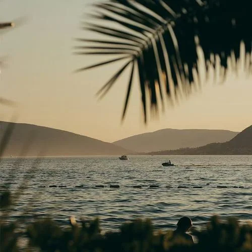 尺素迟（宿命版）-哈基咪