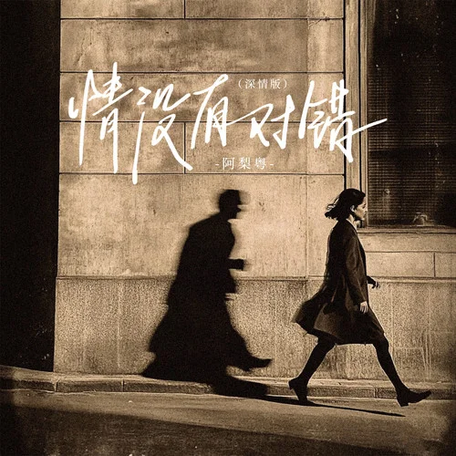 情没有对错 (深情版)-阿梨粤