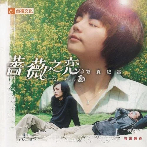 野百合也有春天-阿桑