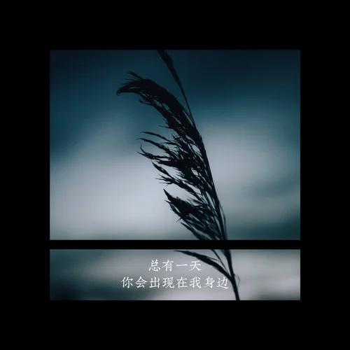 总有一天你会出现在我身边-棱镜.
