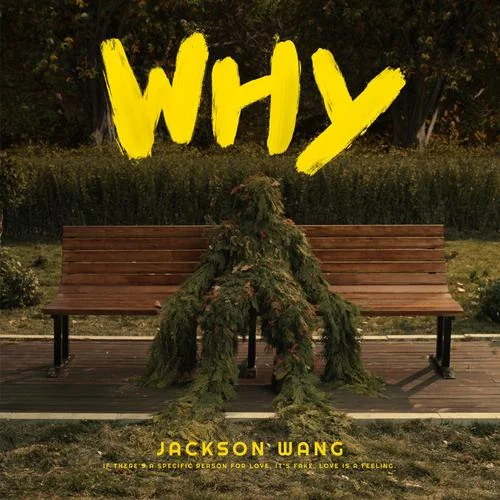 Why Why Why-王嘉尔