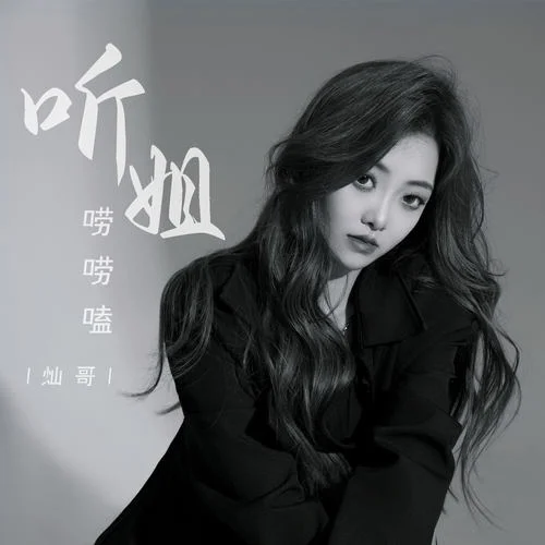 聽姐嘮嘮嗑-燦哥