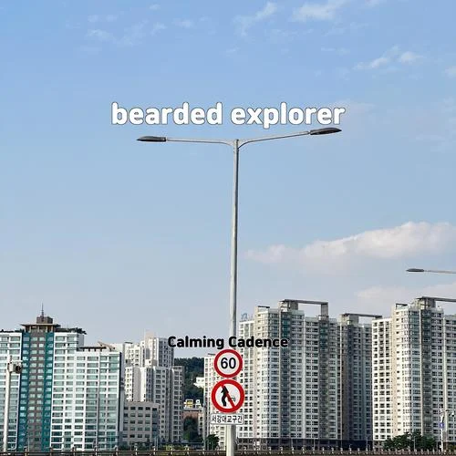 go crazy chris brown-Calming Cadence