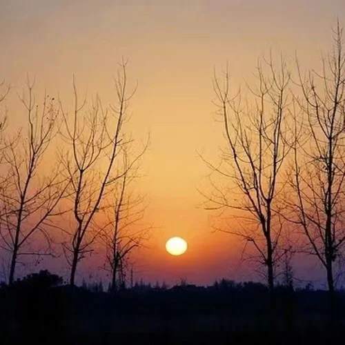 冬眠.2024(冬眠.2023)-周董