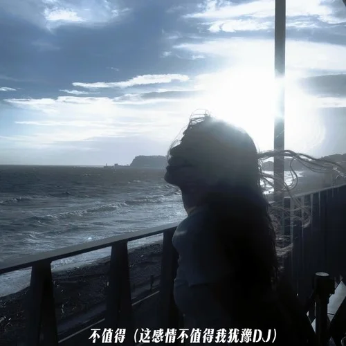 不值得 (这感情不值得我犹豫DJ)-DJ.SmartD