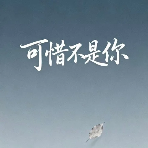 可惜不是你-大头针AI