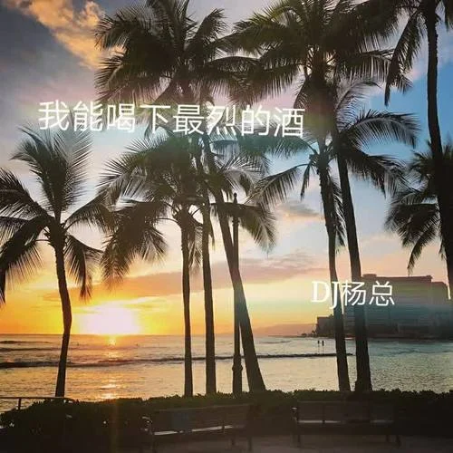 醉酒的蝴蝶(DJ版)-風(fēng)