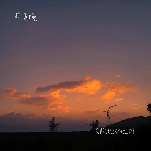 別問(wèn)她為什么變了-夏晚