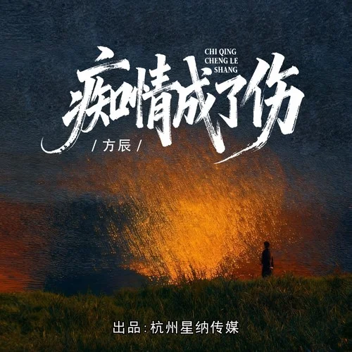 癡情成了傷-方辰