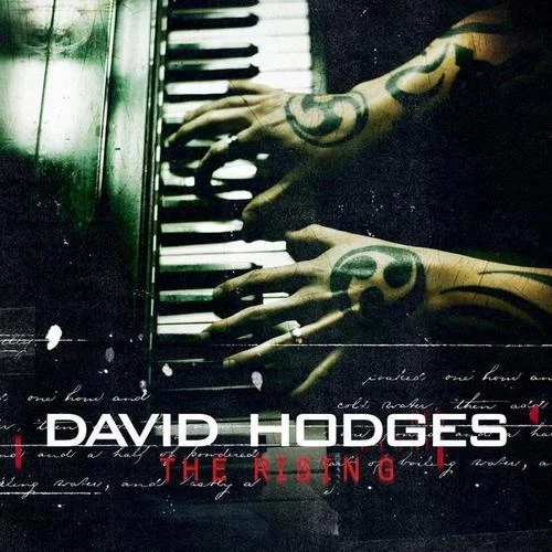 When It All Goes Away(Single Version)-David Hodges