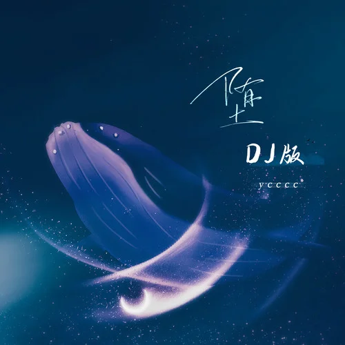 堕(DJ版)-ycccc