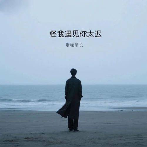 怪我遇見你太遲-煙嗓船長