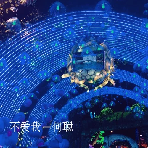 其实（金曲捞之挑战主打歌）翻唱版 (cover: 薛之谦)-何聪