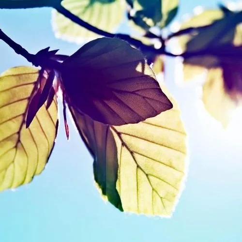 你那么爱他-李圣杰