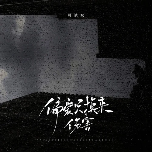 偏愛只換來傷害-阿斌斌