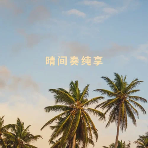 晴间奏纯享(Live)-王嘉嘉