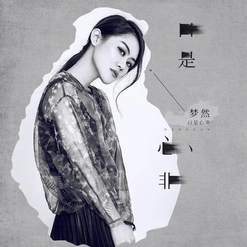 口是心非(DJ沈念版)-夢(mèng)然