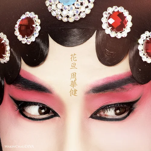 領(lǐng)悟(Live)-周華健