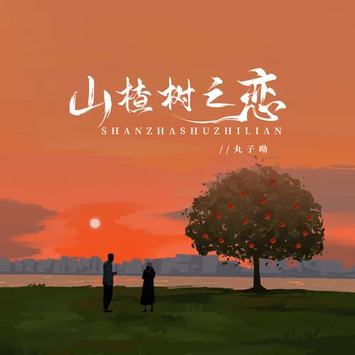 山楂樹之戀(伴奏)-丸子呦