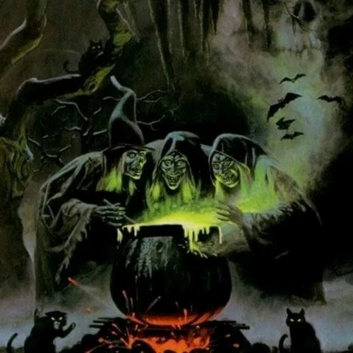 Freedom-Destroy Playa