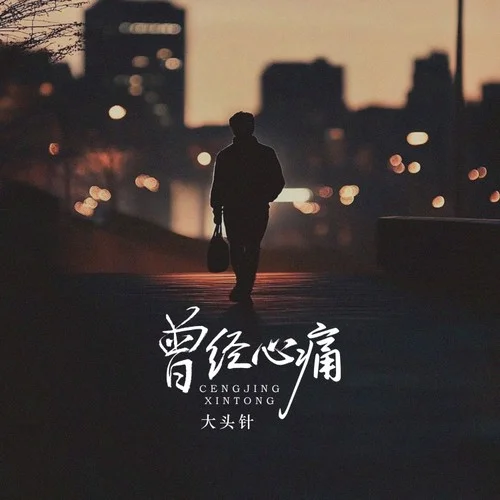 曾经心痛（如今我对你来说；也只不过是个陌生人）-大头针AI