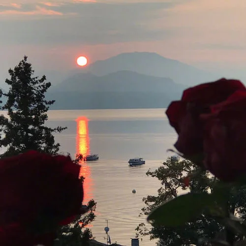 雨過(guò)之后(DJ版)-沐羽曦