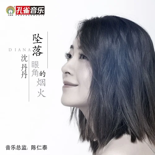 墜落眼角的煙火-沈丹丹