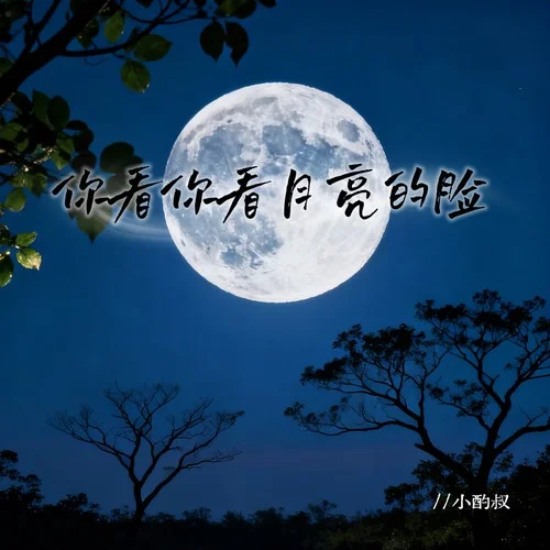 你看你看月亮的臉 (DJ阿卓版)-小酌叔