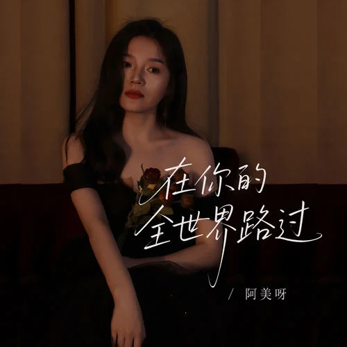 在你的全世界路過-阿美呀