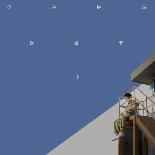 你還好嗎-趙紫驊