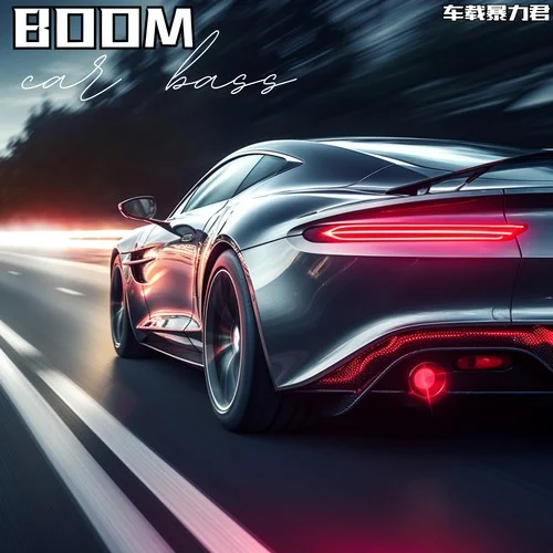 boom-車載暴力君