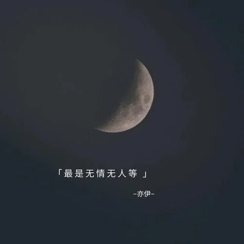 最是無情無人等-亦伊