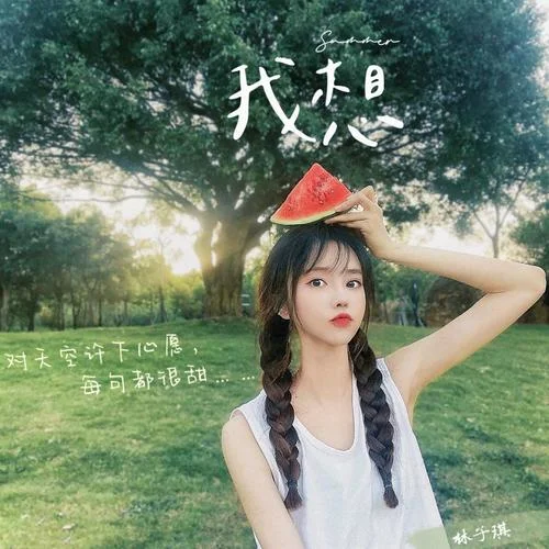 我想-林子琪