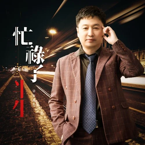 忙碌了半生(DJ月之歌版)-望海高歌