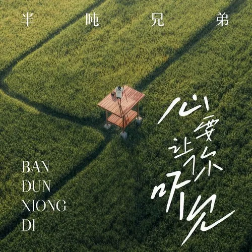 心要讓你聽見 (DJ九零版)-半噸兄弟