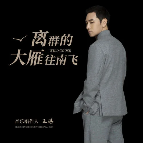 离群的大雁往南飞-王琪