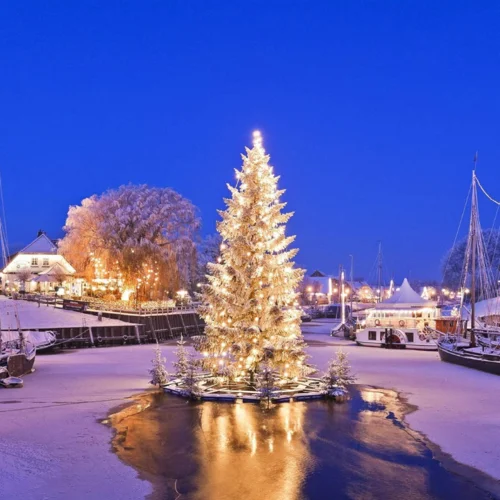 孤星獨(dú)吟 (二胡演奏曲)-水