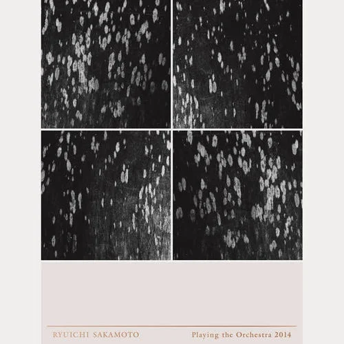 Little Buddha-坂本龍一