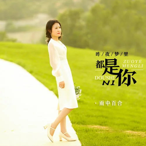 昨夜夢里都是你-雨中百合