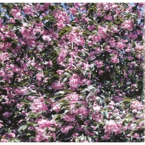 風のように ~ Main Theme-S.E.N.S.