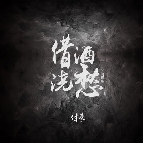 借酒浇愁(DJ何鹏版)-付豪