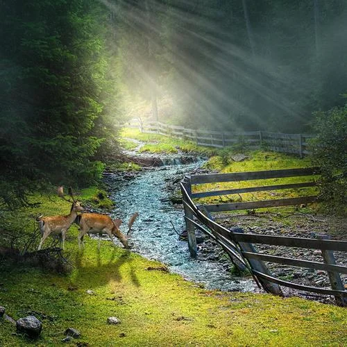 兒時的夏日-余日秋山