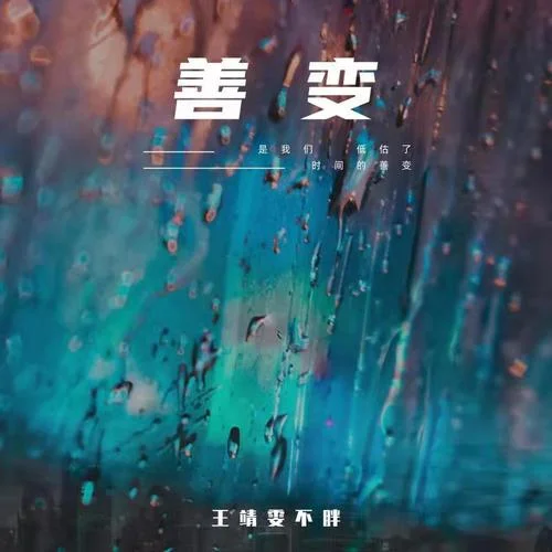 善變(DJ版)-王靖雯